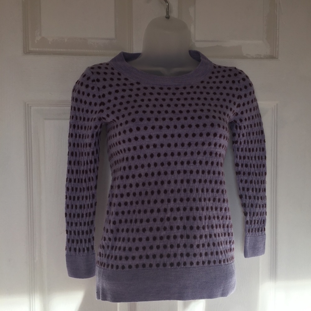 Jcrew wool tippi sweater